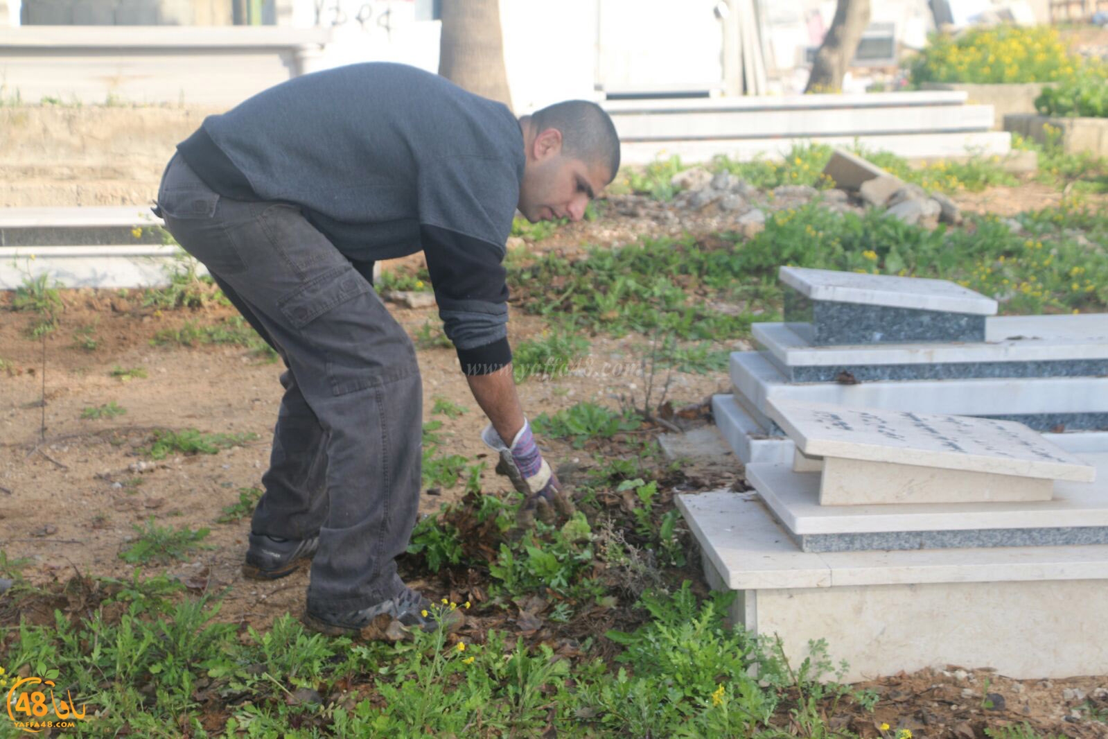 taso 23 tendedf (13).jpg